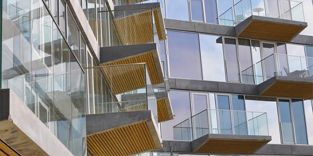 New 15km bike park in the heart of Pines forrest